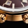 Alpina Seastrong Diver 300 Heritage Automatic AL-525BRC4H4 - Image 3
