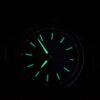 Alpina Alpiner Quartz AL-240NS4E6B - Image 3