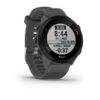 Garmin Forerunner 55 Grey 010-02562-13 - Image 3