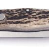 Kapesní nůž Mikov Predator Hammer 241-NP-1 - Image 3