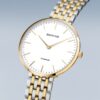 Bering Titanium 19334-010 - Image 2