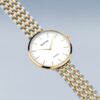 Bering Titanium 19334-010 - Image 3