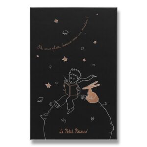 Zápisník Moleskine Le Petit Prince sběratelská edice - pevné desky - L