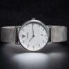 Junkers Dessau Streamline 34 951.01.03.M - Image 2