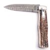 Kapesní nůž Mikov Predator 241-DP-1 - Image 2