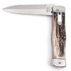 Kapesní nůž Mikov Predator Hammer 241-NP-1 - Image 2