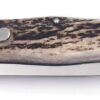 Kapesní nůž Mikov Predator Hammer 241-NP-1 - Image 3