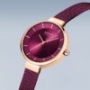 Bering Solar 14631-969 - Obrázek 3