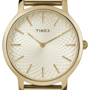 Timex Transcend TW2R36100