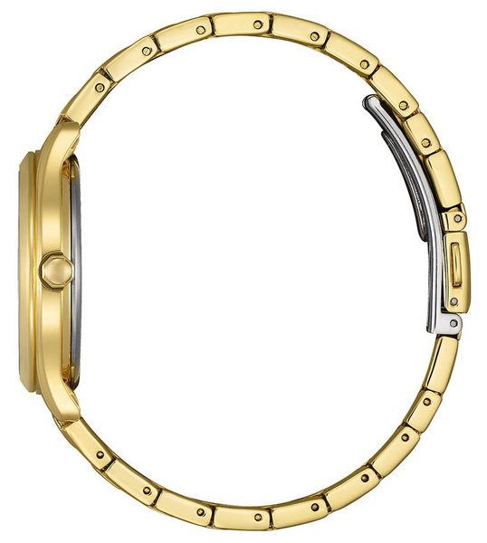 Citizen Eco-Drive Ladies FE6122-64X - Obrázek 2